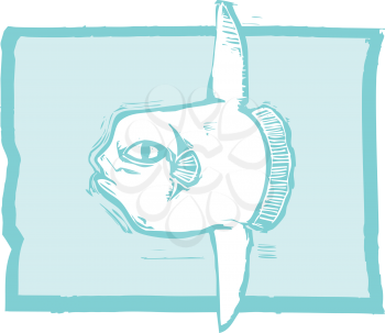 Royalty Free Clipart Image of an Sunfish