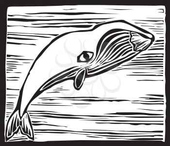 Royalty Free Clipart Image of a Bowhead Whale