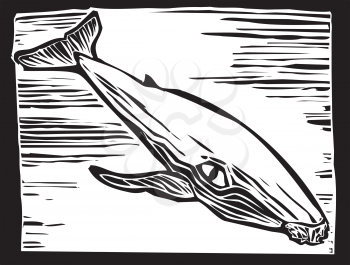 Royalty Free Clipart Image of a Humpback Whale