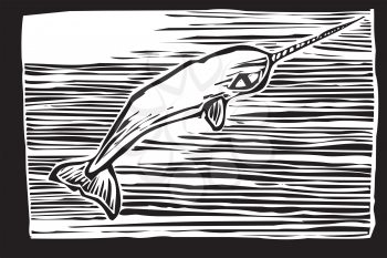 Royalty Free Clipart Image of  a Narwhal Whale