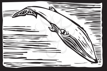 Royalty Free Clipart Image of a Sei Whale