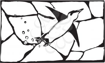 Royalty Free Clipart Image of a Penguin Swimming