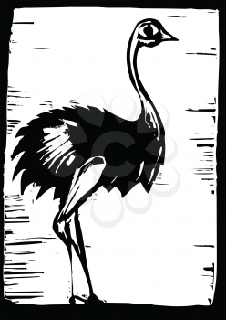 Royalty Free Clipart Image of an Ostrich 
