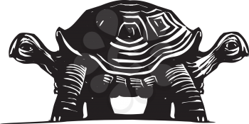 Royalty Free Clipart Image of Turtle With Two Heads