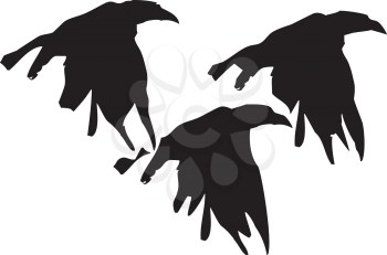 Royalty Free Clipart Image of Three Crows