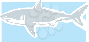 Clean graphic image of a great white shark