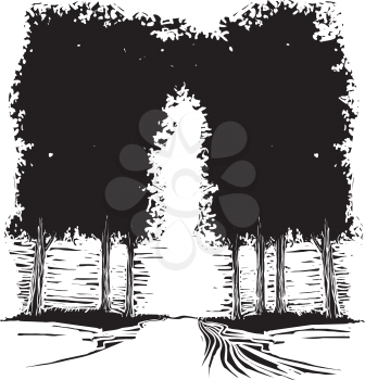 Woodcut expressionist style image of a path through a grove of trees