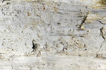 Royalty Free Photo of Old Wood
