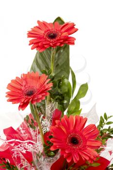 Royalty Free Photo of Flowers