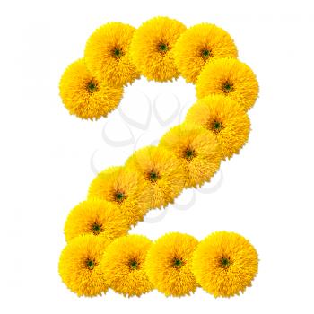 decimal cipher of flowers isolated on white background