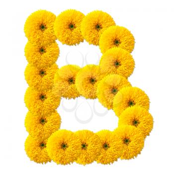 letter of the alphabet of flowers isolated on white background