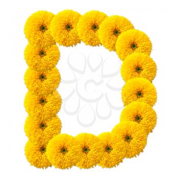 letter of the alphabet of flowers isolated on white background