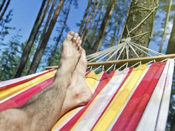 feet in the hammock on a background of pine forest
