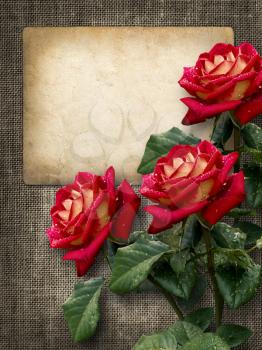 Card for invitation or congratulation with red roses in vintage style