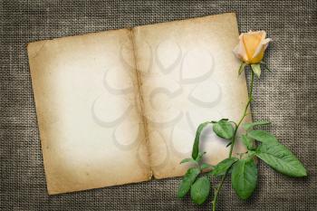 Royalty Free Photo of a Vintage Card or Invitation With a Rose