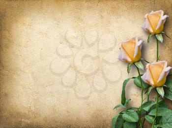 Royalty Free Photo of a Vintage Background With Roses