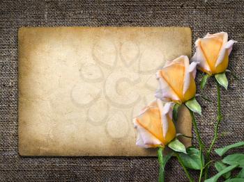 Royalty Free Photo of a Vintage Background With Roses