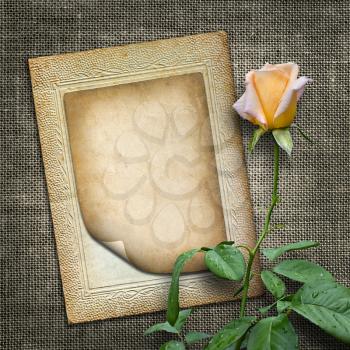 Royalty Free Clipart Image of a Vintage Card With a Rose