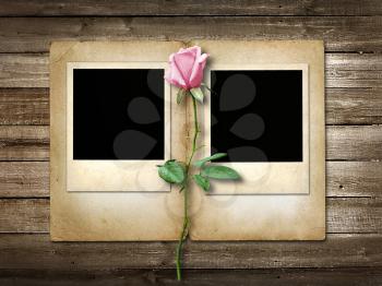 Polaroid-style photo on the background of wooden  with pink  rose
