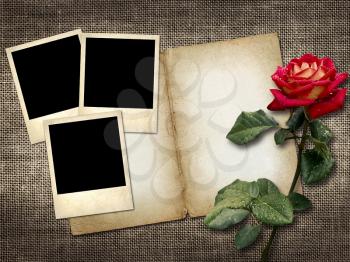 Polaroid-style photo on the background of linen with red rose