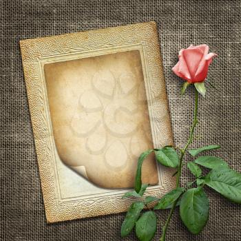 Card for invitation or congratulation with pink rose in vintage style