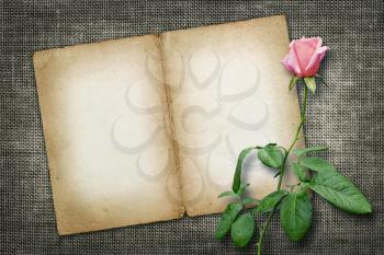 Card for invitation or congratulation with yellow rose in vintage style