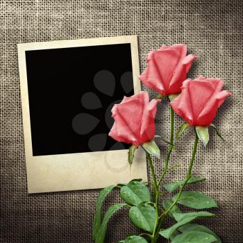 Royalty Free Clipart Image of Roses and a Negative on Fabric