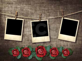 Royalty Free Photo of Photographs on a Line and Roses