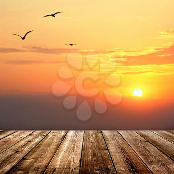 Sunset  with seagulls and wood planks floor background