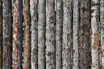 fence made of logs with bark as background