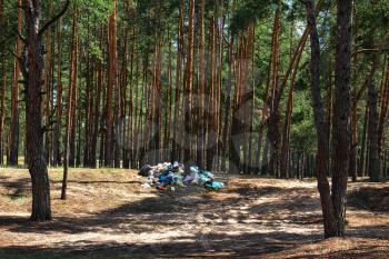 pile of household garbage in a clearing in the forest