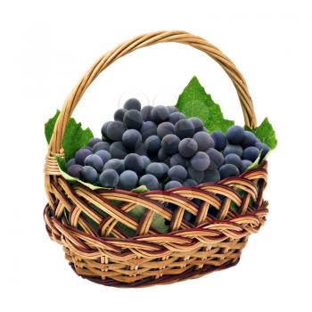 wicker basket with brushes of dark grapes isolated on white background