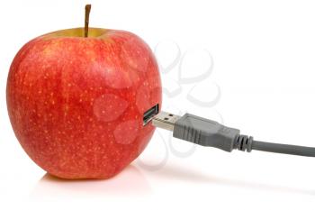Royalty Free Photo of a USB Plug in an Apple