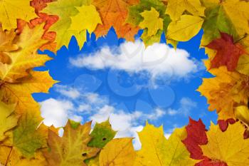 Royalty Free Photo of Leaves Against a Blue Sky