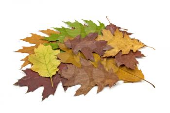 Royalty Free Photo of a Pile of Leaves