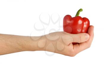 Royalty Free Photo of a Person Holding a Red Pepper
