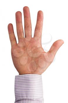 Royalty Free Photo of a Hand