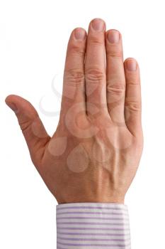 Royalty Free Photo of a Man's Hand