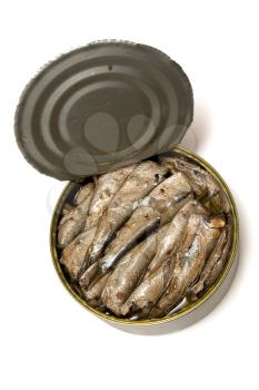 Royalty Free Photo of a Can of Fish