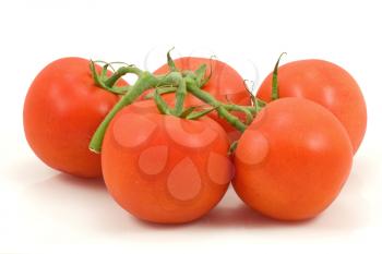 Royalty Free Photo of Tomatoes