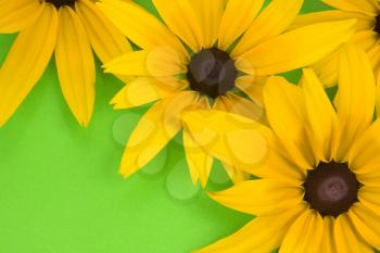 Royalty Free Photo of Yellow Flowers