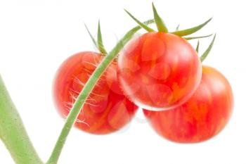 Bunch of tomatoes isolated on white background