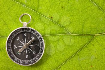 Compass on the leaf texture, symbolizing tourism in a nature