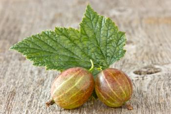 gooseberries with leaf on the  wooden background