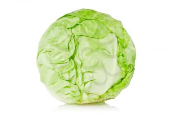 green organic cabbage over a white background