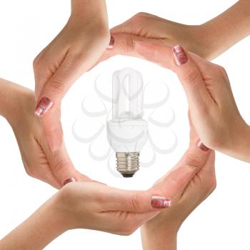 Hands with light bulb isolated on white background.