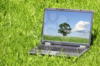 laptop in a green grass on a sunny day