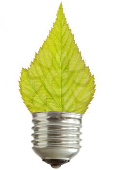 green energy concept. light bulb with leaf,isolated on white background