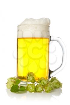 mug of beer with hop  on white background
