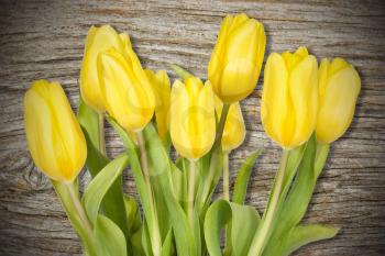 Yellow tulips bouquet on the wooden wall background